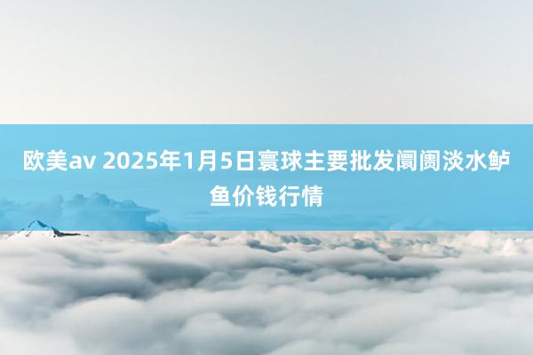 欧美av 2025年1月5日寰球主要批发阛阓淡水鲈鱼价钱行情