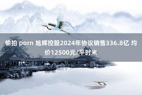 偷拍 porn 旭辉控股2024年协议销售336.8亿 均价12500元/平时米