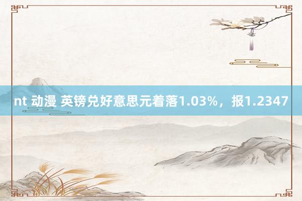 nt 动漫 英镑兑好意思元着落1.03%，报1.2347