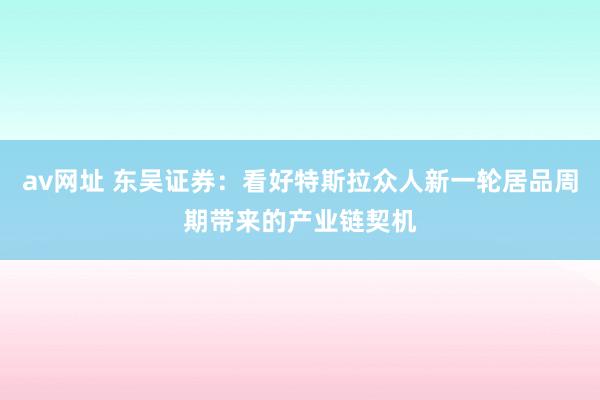 av网址 东吴证券：看好特斯拉众人新一轮居品周期带来的产业链契机