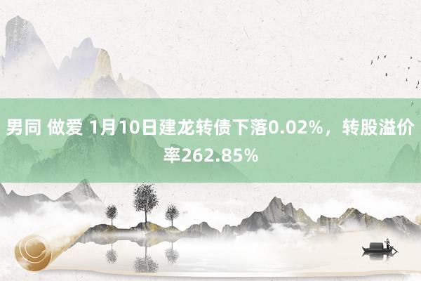 男同 做爱 1月10日建龙转债下落0.02%，转股溢价率262.85%