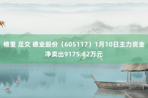 楠里 足交 德业股份（605117）1月10日主力资金净卖出9175.62万元