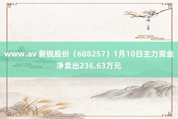 www.av 新锐股份（688257）1月10日主力资金净卖出236.63万元