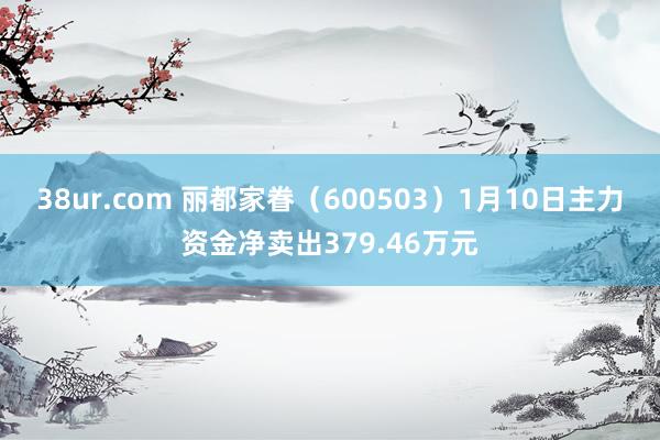 38ur.com 丽都家眷（600503）1月10日主力资金净卖出379.46万元