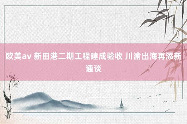 欧美av 新田港二期工程建成验收 川渝出海再添新通谈