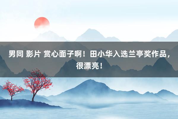 男同 影片 赏心面子啊！田小华入选兰亭奖作品，很漂亮！