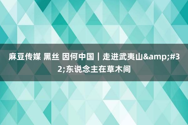 麻豆传媒 黑丝 因何中国｜走进武夷山&#32;东说念主在草木间